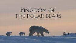 Kingdom of the Polar Bears: Part 1