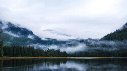 Vancouver Island's Eastern Coastline