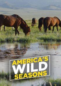 America's Wild Seasons