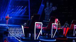 The Blind Auditions 7