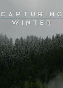 Capturing Winter