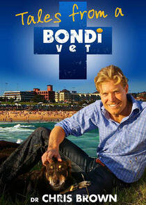 Bondi Vet