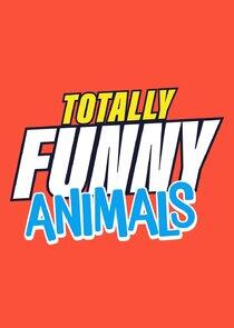 Totally Funny Animals