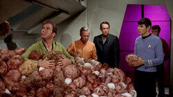 The Trouble with Tribbles