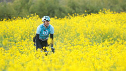 Spring: A Journey through Boso Peninsula