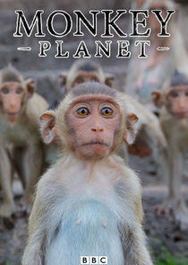 Monkey Planet