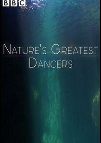 Nature's Greatest Dancers