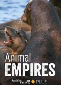 Animal Empires - Season 1