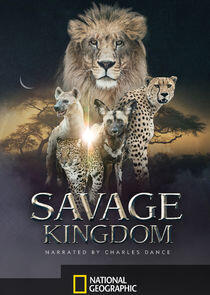 Savage Kingdom