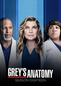 Grey's Anatomy - Season 18