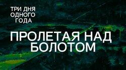 Пролетая над болотом