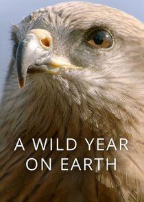 A Wild Year on Earth - Season 1