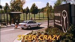 Steer Crazy