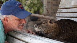 Jasper, Terry, and Gumbo