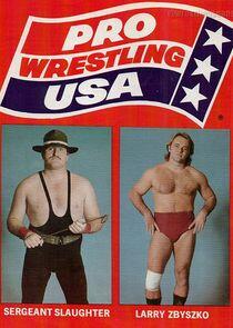 Pro Wrestling USA