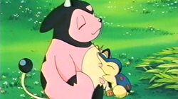 Got Miltank?