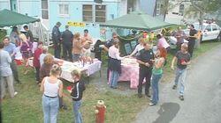 The Cheeseburger Picnic