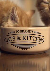 Jo Brand's Cats and Kittens