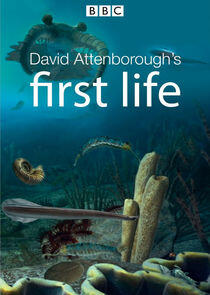 David Attenborough's First Life