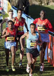 Great Edinburgh International Cross Country