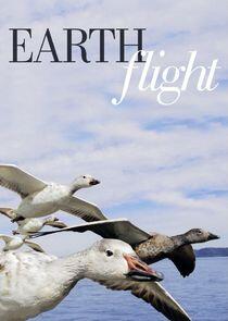 Earthflight