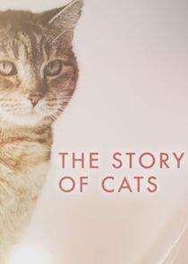 The Story of Cats