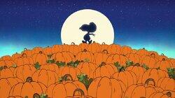 It's the Great Pumpkin, Charlie Brown It's the Great Pumpkin, Charlie Brown