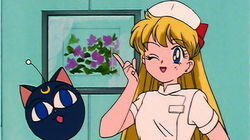 Venus Minako's Nurse Mayhem