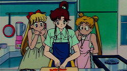 Usagi's Parental Love: The Curry Romance Triangle