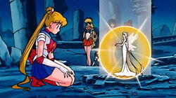 Usagi's Awakening: A Message from the Distant Past