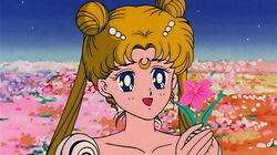 Returning Memories: Usagi and Mamoru's Past