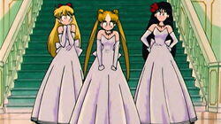 Let's Become a Princess: Usagi's Bizarre Training