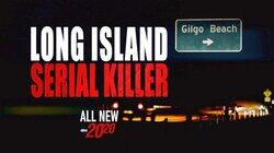 Long Island Serial Killer