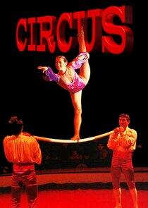 Circus