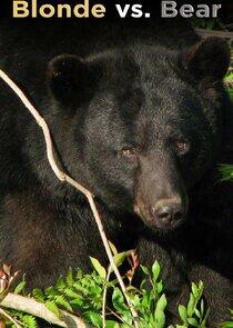 Blonde vs. Bear