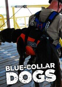 Blue-Collar Dogs