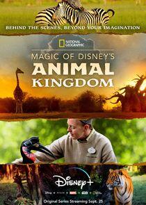 Magic of Disney's Animal Kingdom - Season 1