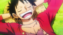 Luffy's Dream