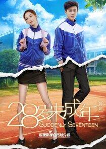 Suddenly Seventeen