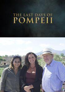 Pompeii's Final Hours: New Evidence