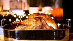Thanksgiving 2.0 Thanksgiving 2.0