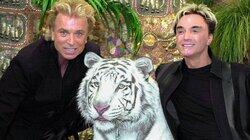 Siegfried & Roy Part 2: Dangerous Illusion