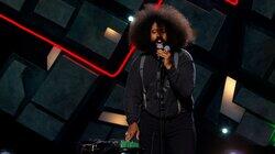 Nick Turner, Colin Jost, Reggie Watts