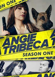 Angie Tribeca - Season 1