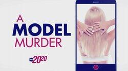 A Model Murder