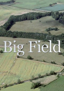 Big Field