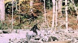 Bigfoot