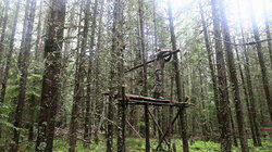 Elevated Shelter With Food Storage