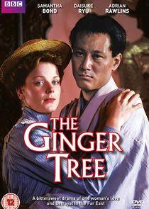 The Ginger Tree