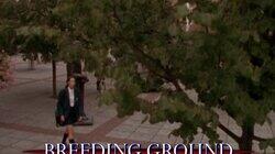 Breeding Ground